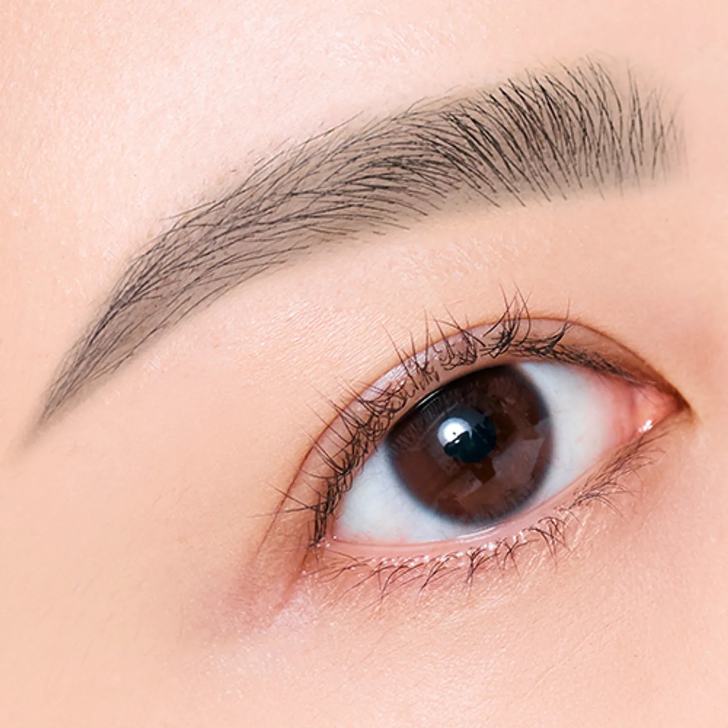 CLIO Kill Brow Auto Hard Brow Pencil (Set/Single) (9 Colors)