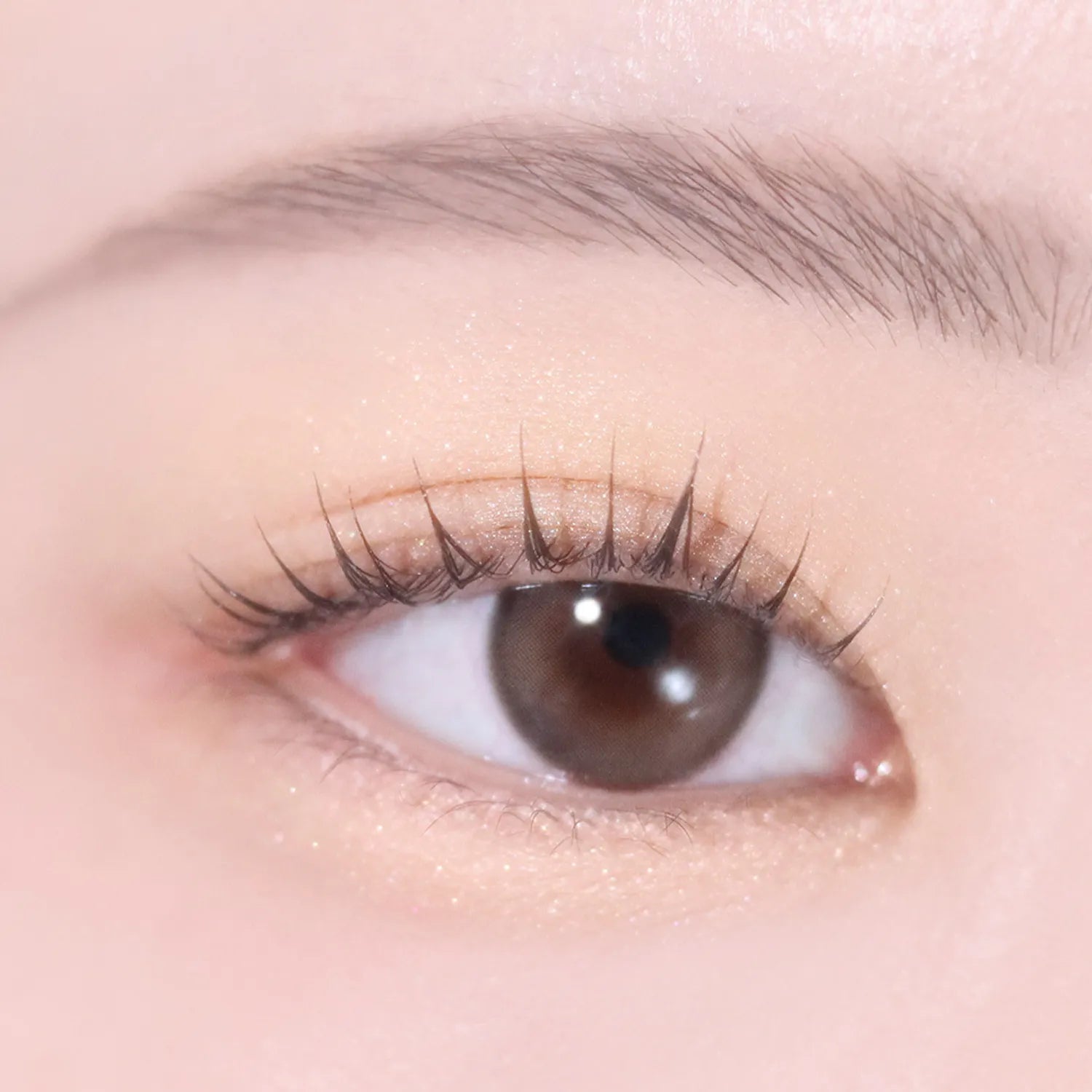hince Single Eyeshadow (25 Colors)
