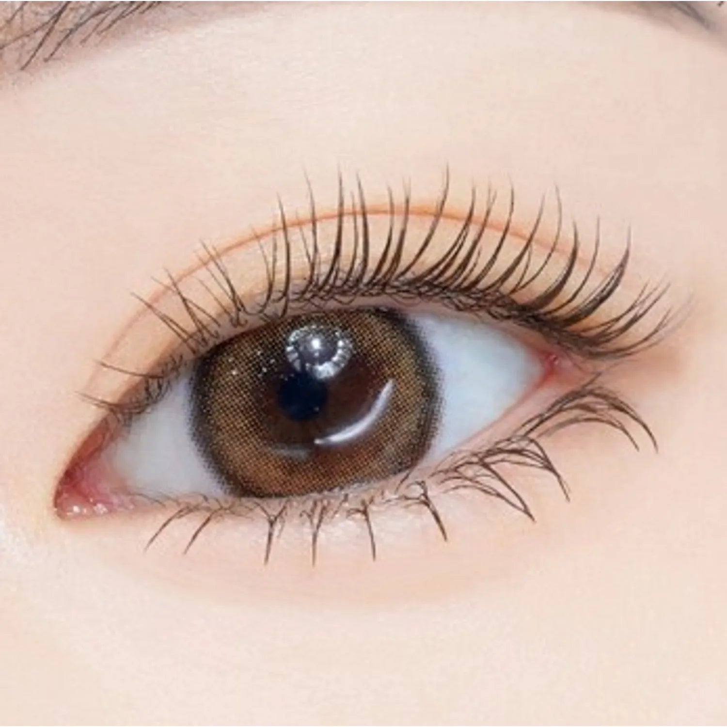 ETUDE Curl Fix Mascara 1+1 Set (4 Options)