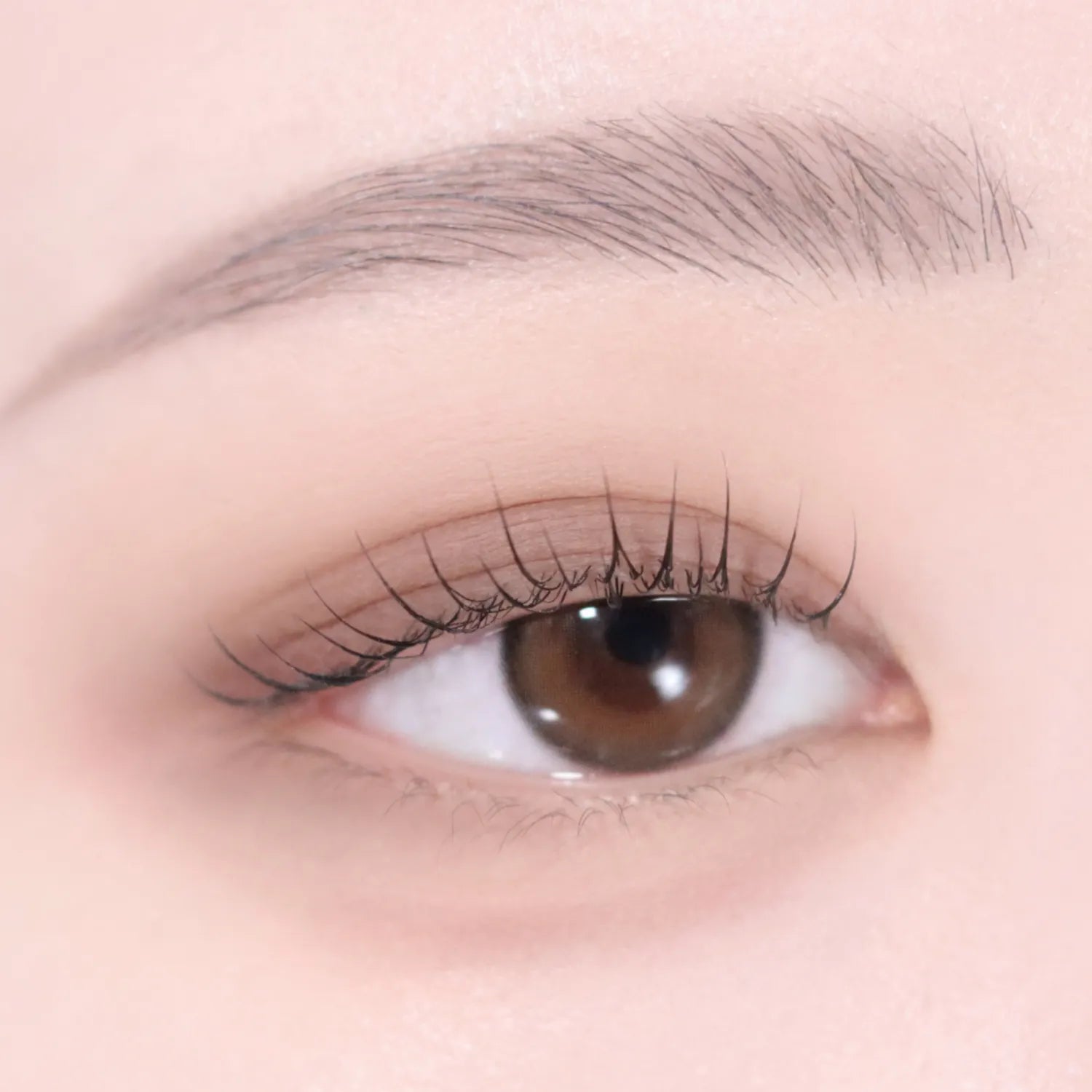 VDL Eyestain Essential Shadow Duo