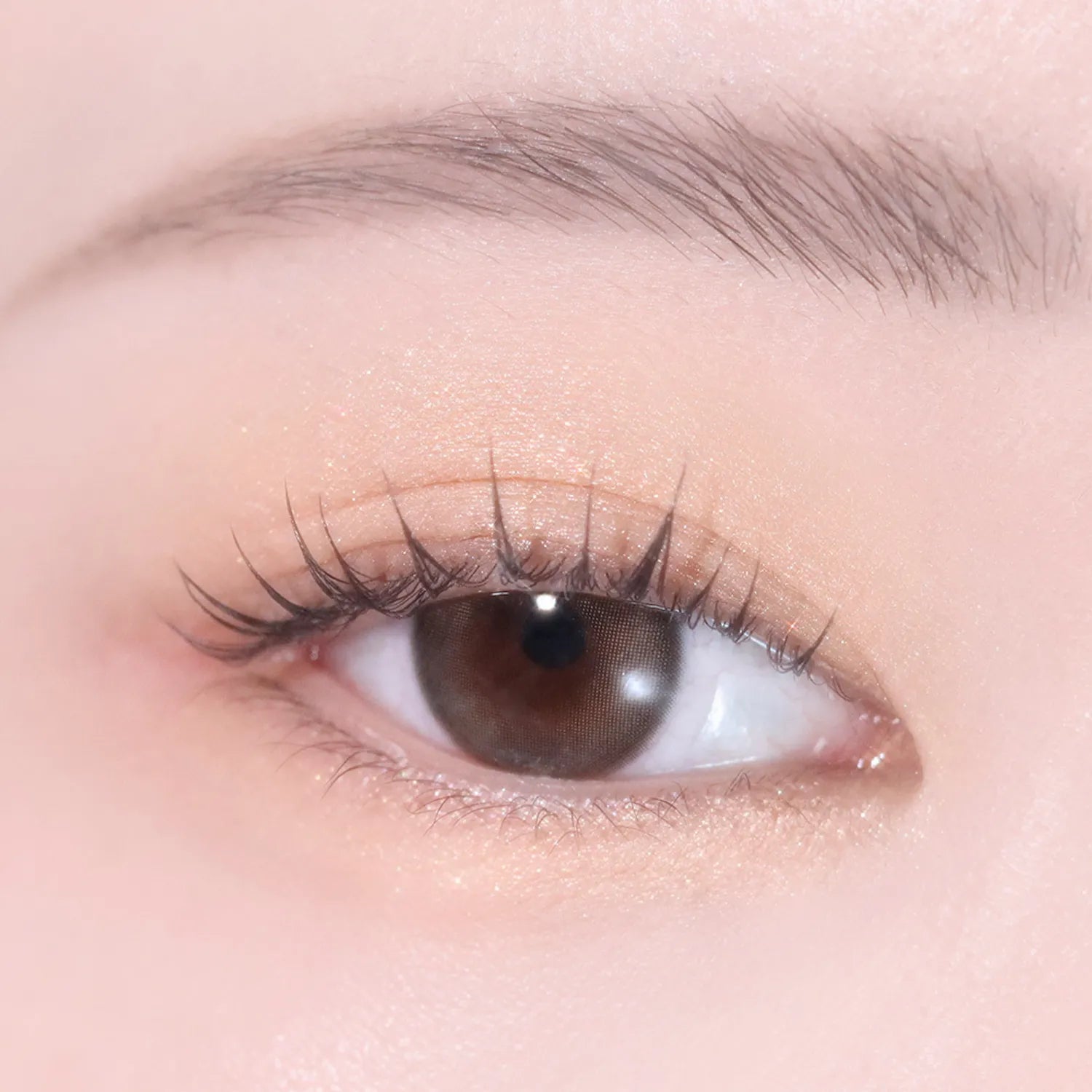 hince Single Eyeshadow (25 Colors)