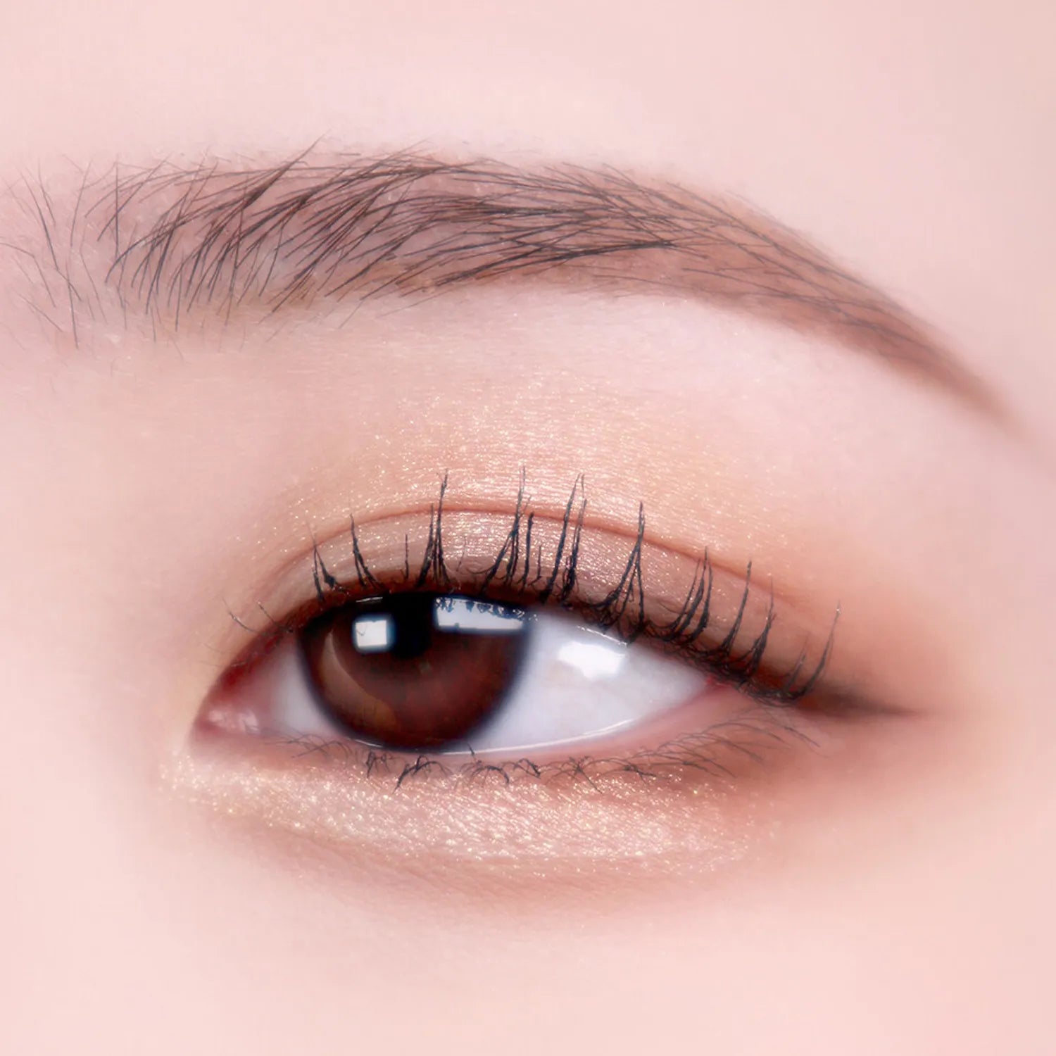 CORINGCO Quick-Hara Volume Maker Eyeshadow