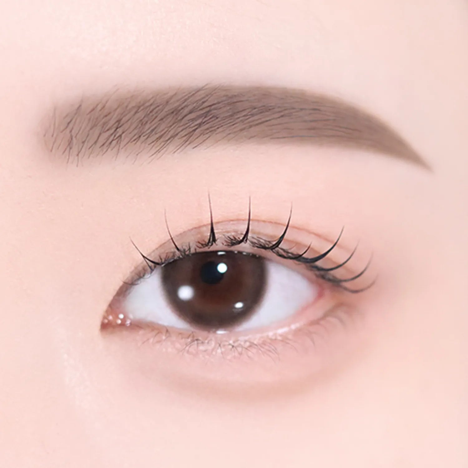 2aN Art Coloring Brow Pencil (5 Colors)