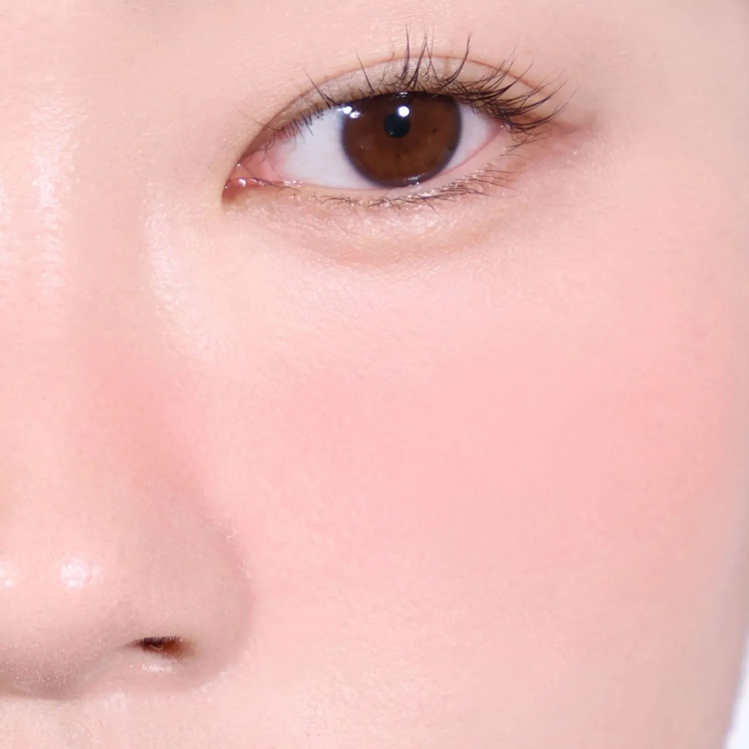 espoir Blur Wear Blush 6g (6 Colors)