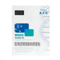 Fuerjia Medical Sodium Hyaluronate Dressing, 5 Sheets