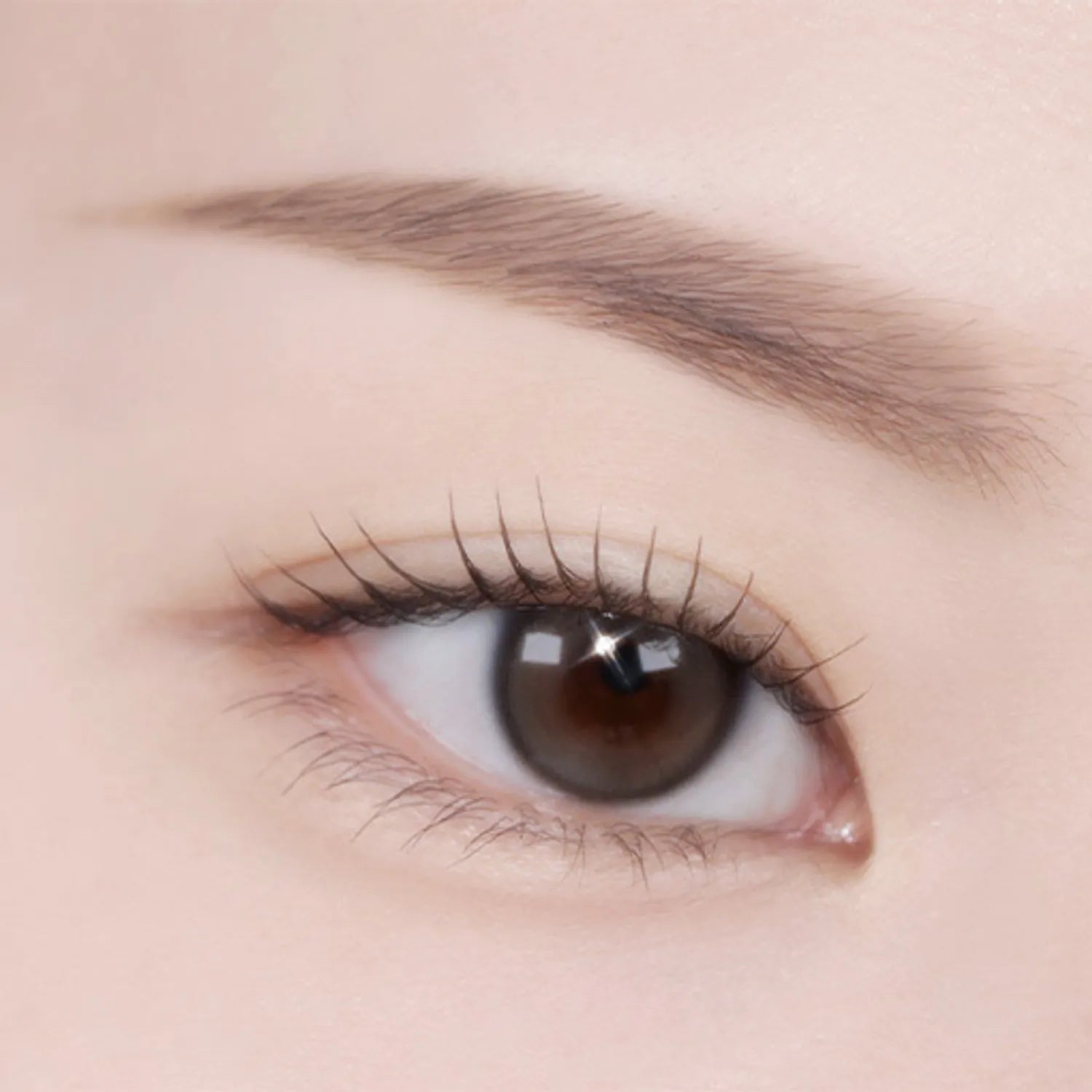 TWOSLASHFOUR Fade Brow Powder Duo (3 Colors)