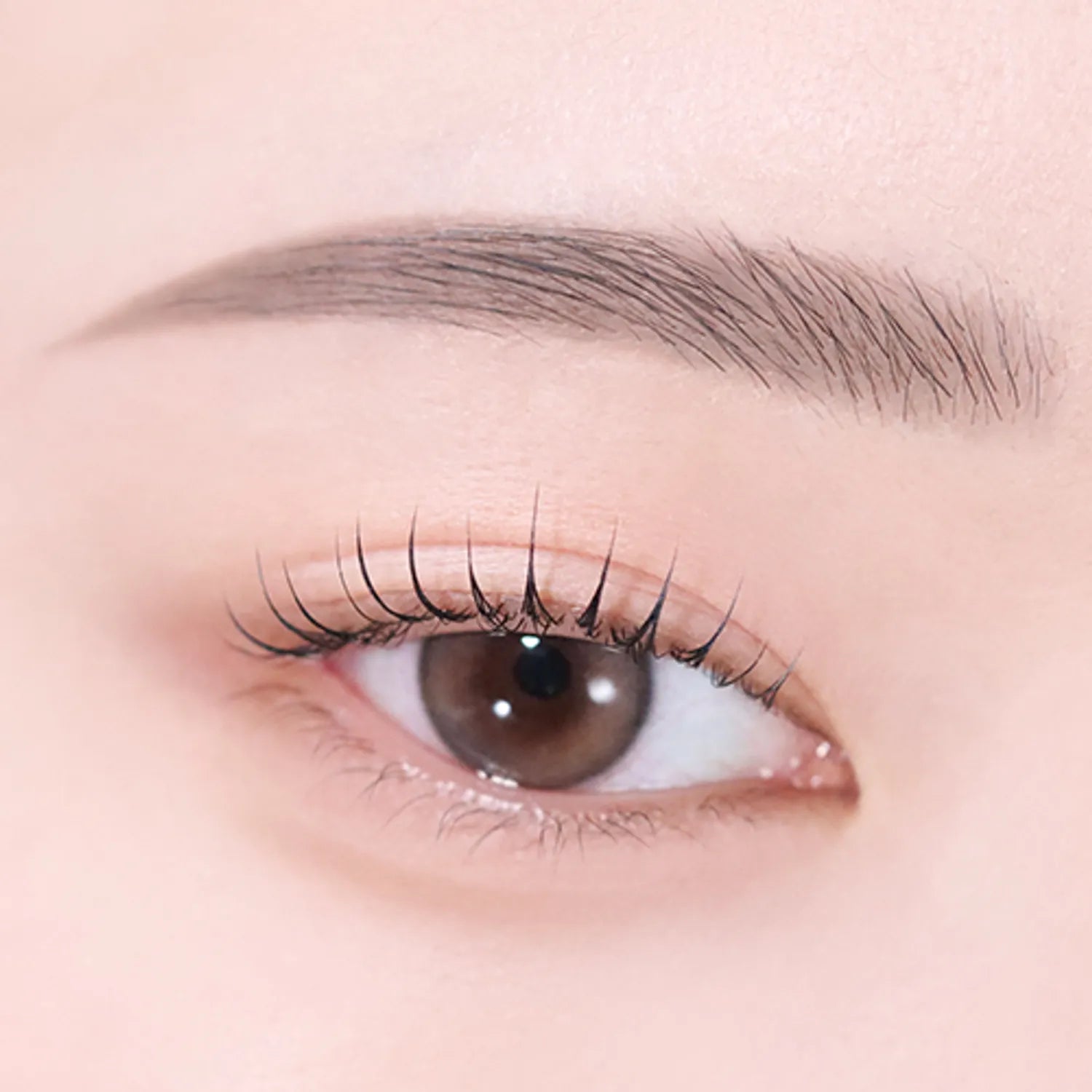 peripera Speedy Eyebrow Auto Pencil (5 Colors)