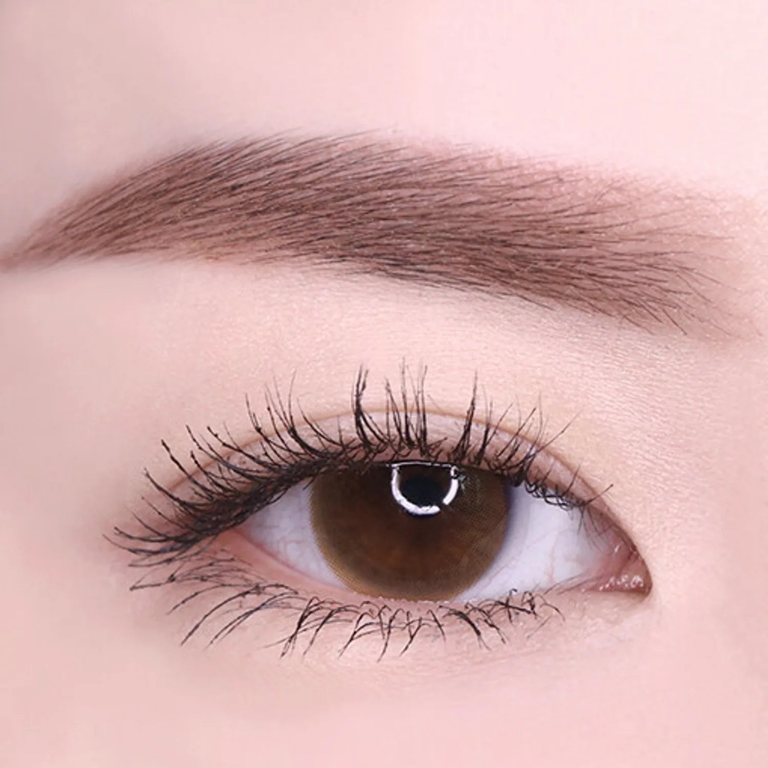 lilybyred AM9 to PM9 Survival Color Mascara (4 Colors)