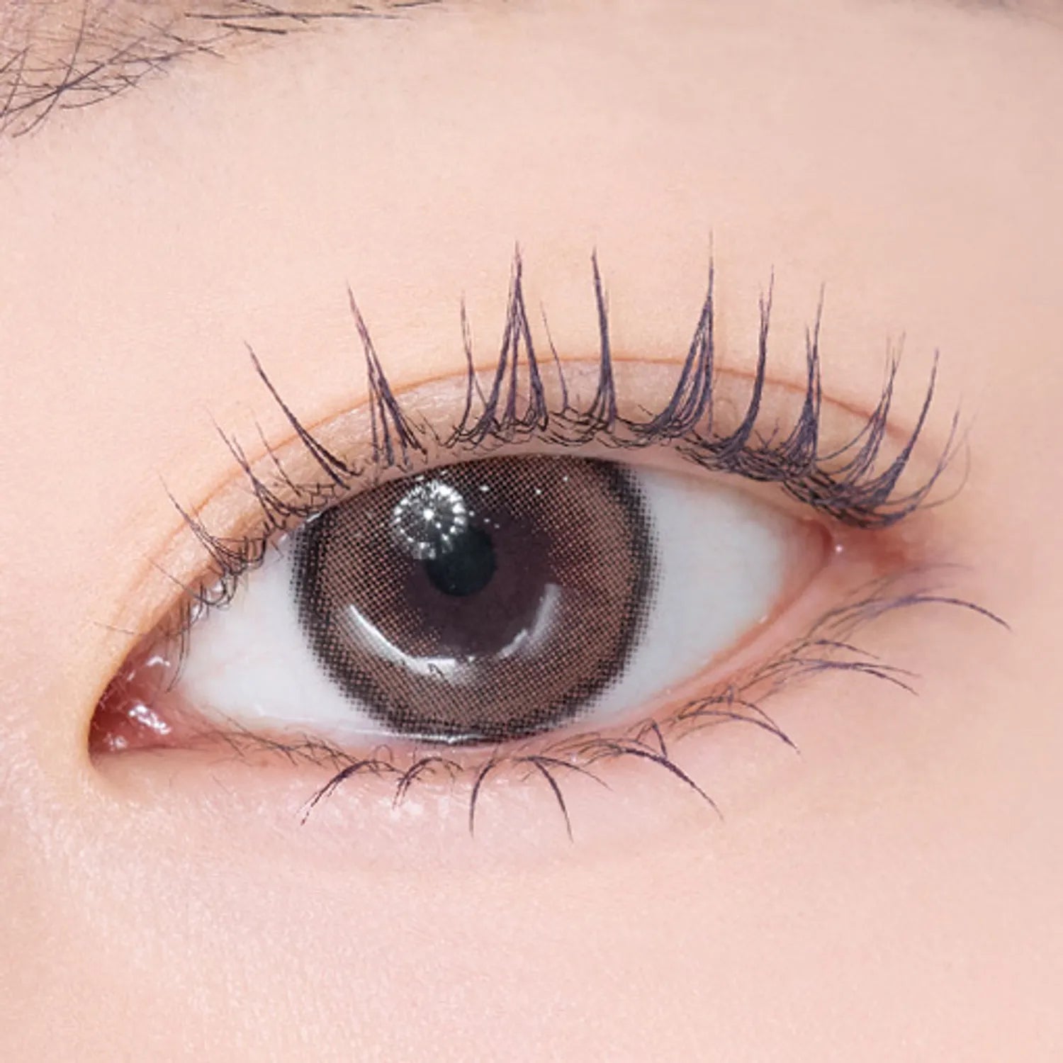 ETUDE Curl Fix Mascara Mini 4g (Normal/Keyring)