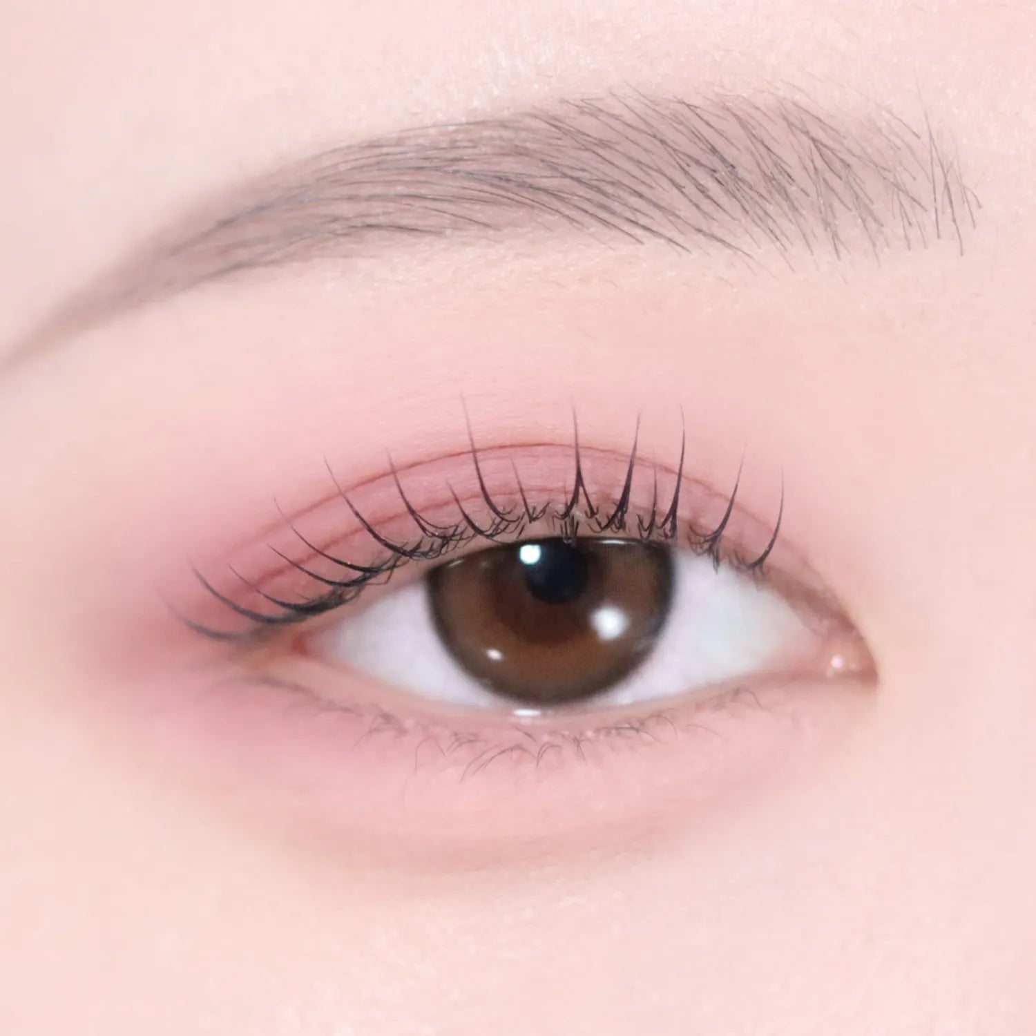 VDL Eyestain Essential Shadow Duo