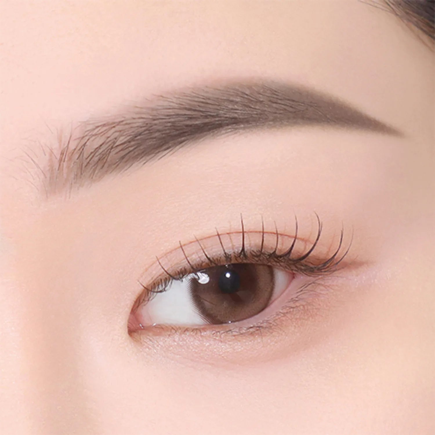 CLIO Kill Brow Auto Hard Brow Pencil (Set/Single) (9 Colors)