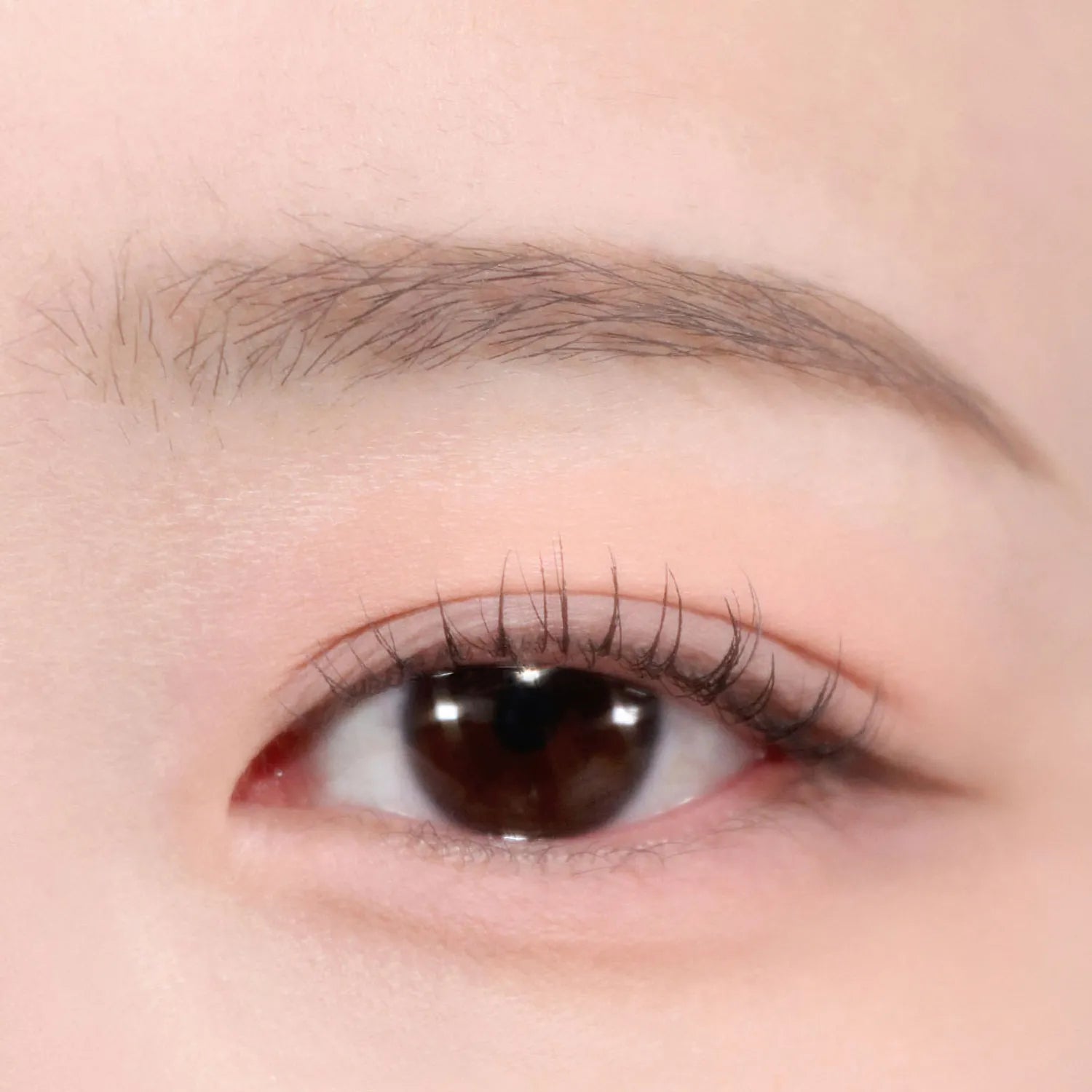 MISSHA Modern Shadow