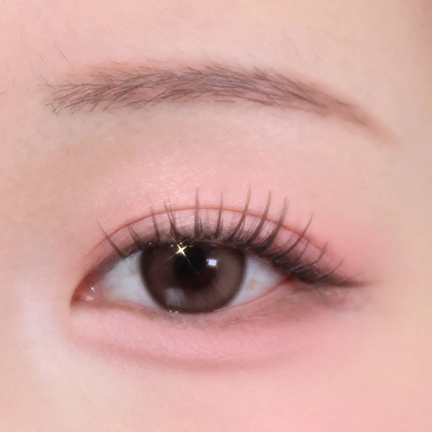 lilybyred Dewy Fit Palette (7 Options)