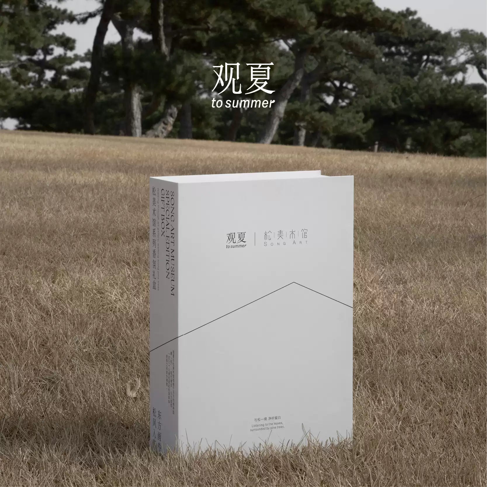 TO SUMMER × Song Art Museum | Collaborative Scented Collection