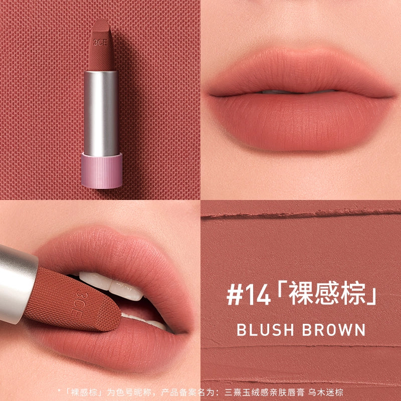 3CE Lipstick in Blush Brown