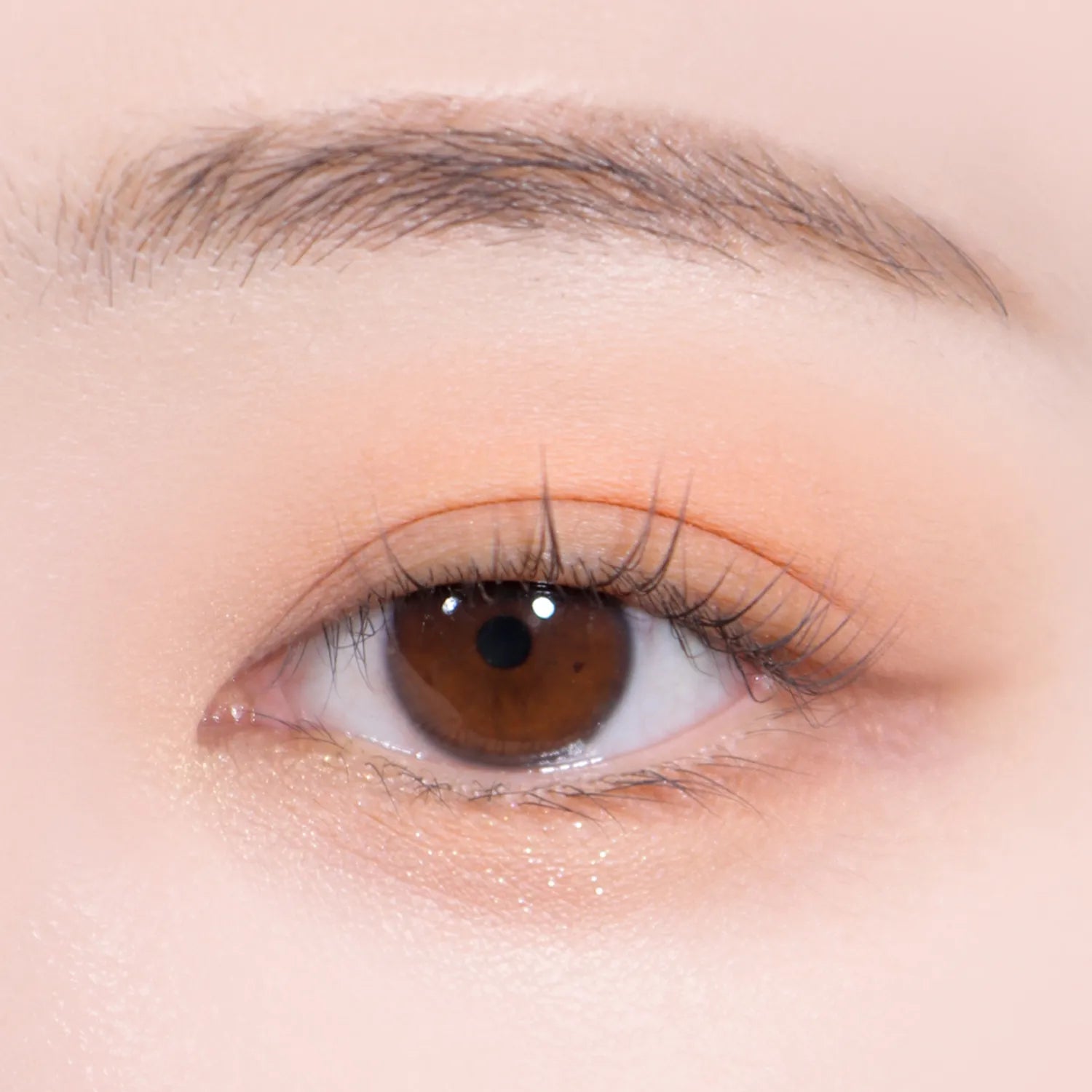 colorgram Pin Point Eyeshadow Palette (9 Colors)
