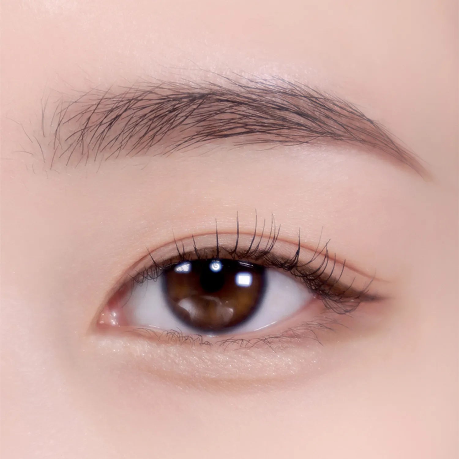 colorgram Shade Re-Forming Brush Liner (11 Colors)