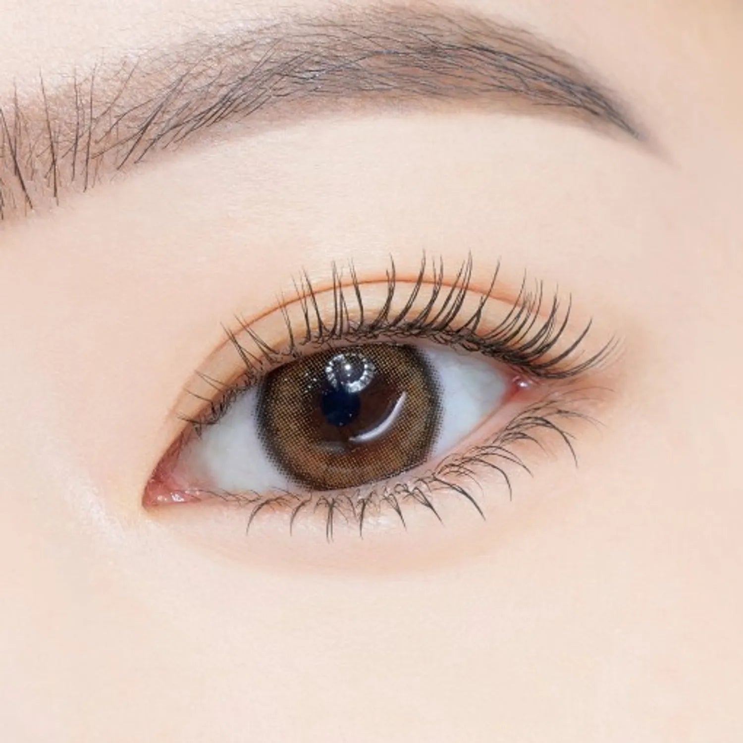 ETUDE Curl Fix Mascara 1+1 Set (4 Options)