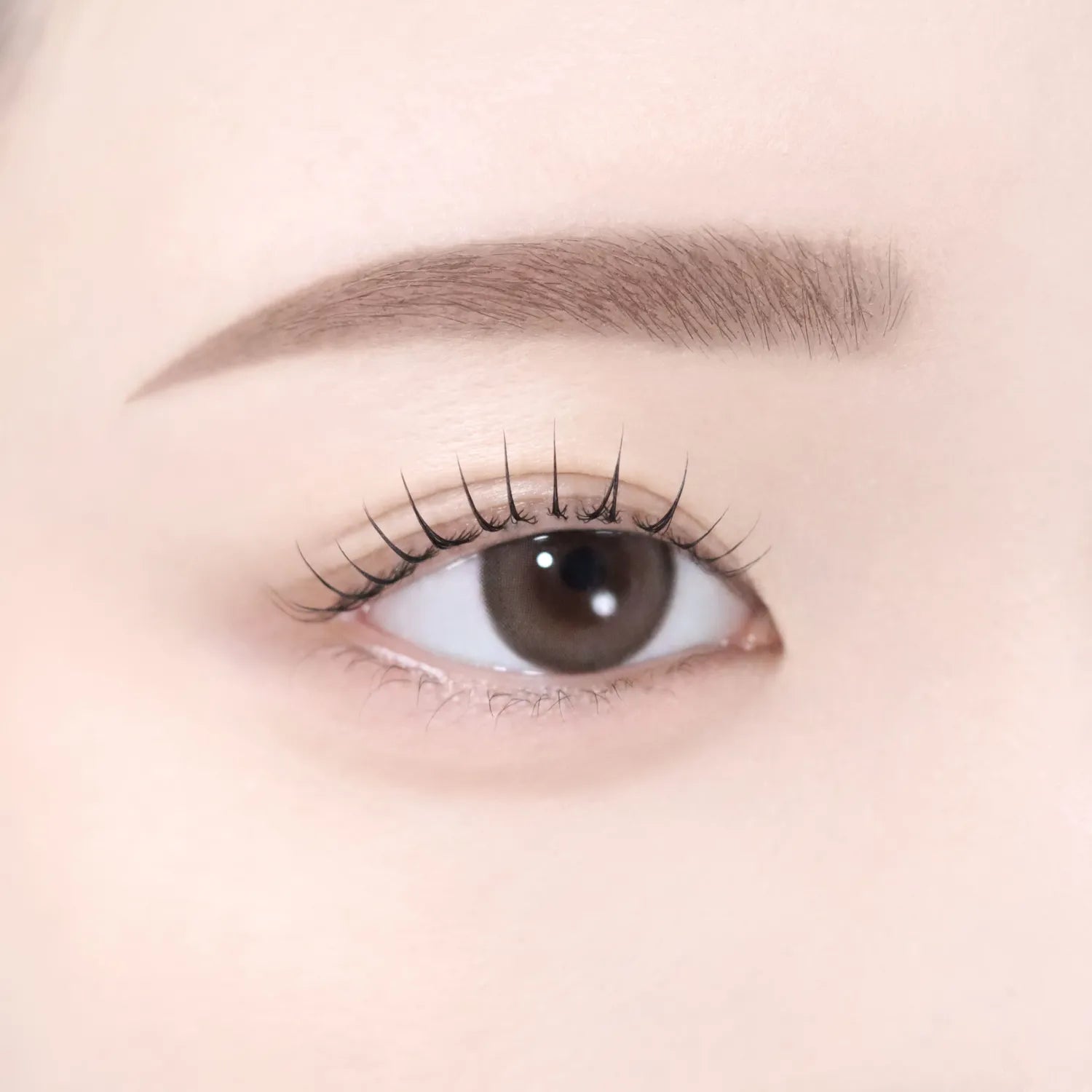 dasique Pro Slim Brow Cara (6 Colors)