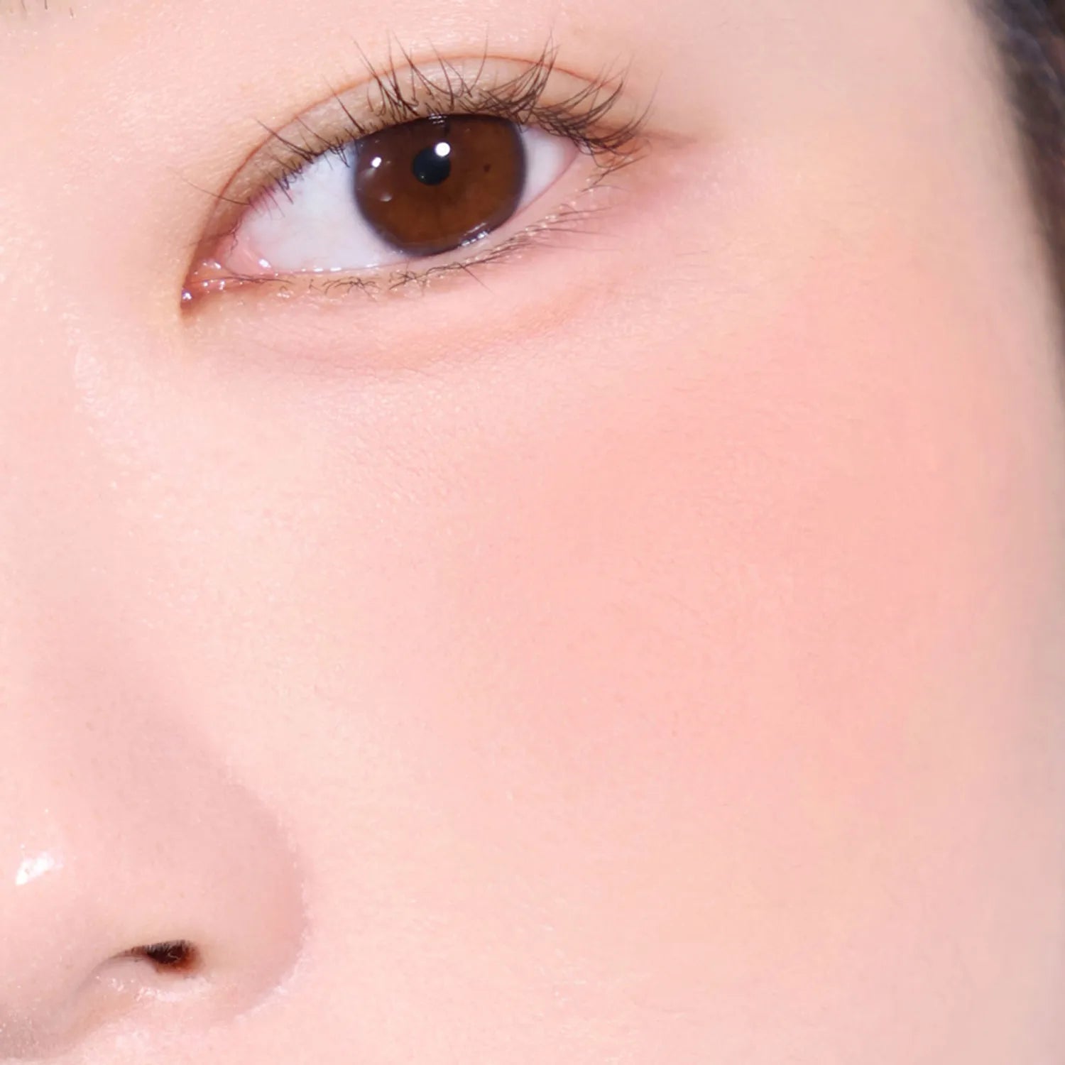espoir Blur Wear Blush 6g (6 Colors)