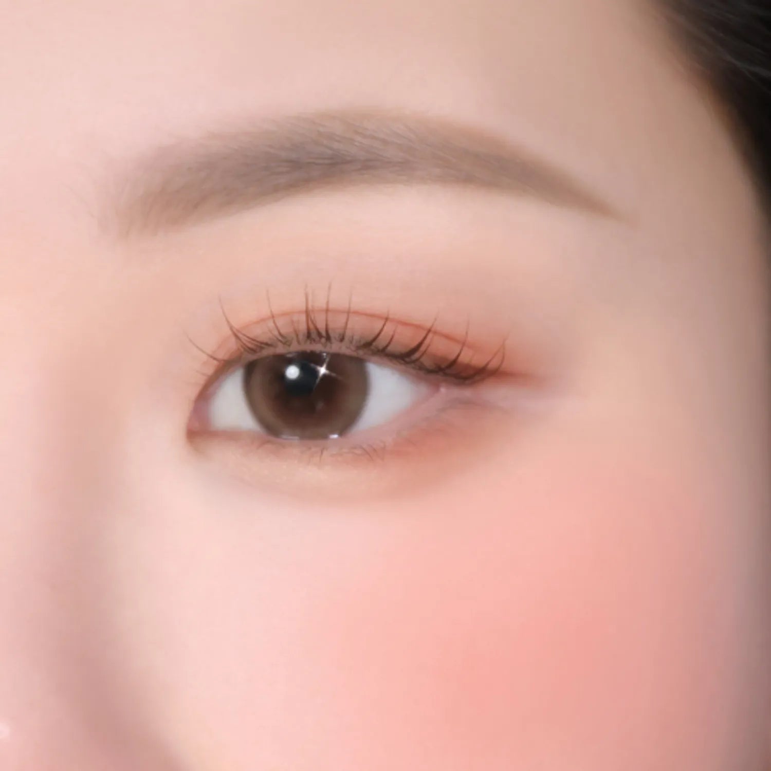 colorgram Pin Point Eyeshadow Palette (9 Colors)