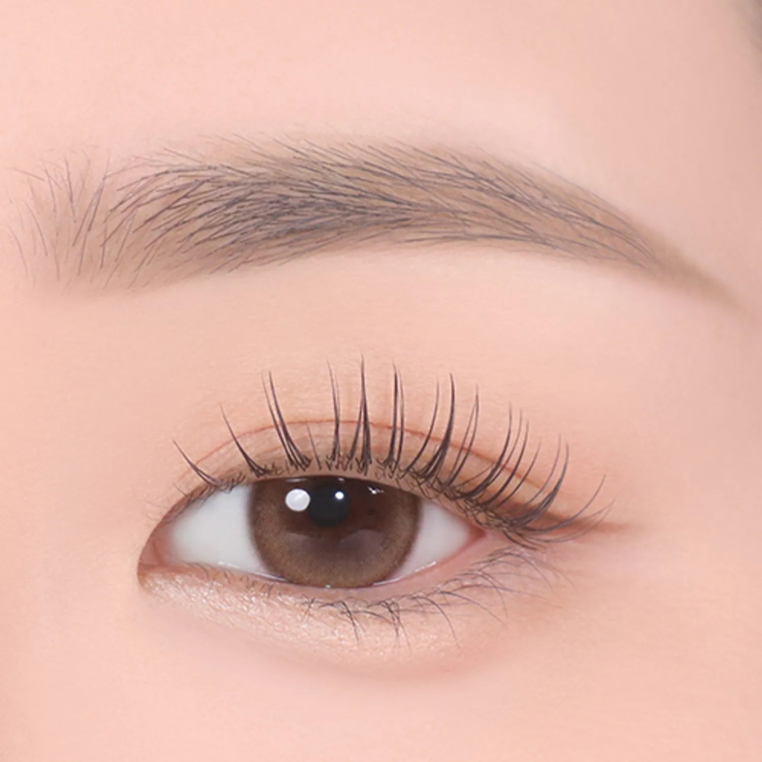 CLIO Kill Brow Auto Hard Brow Pencil (Set/Single) (9 Colors)