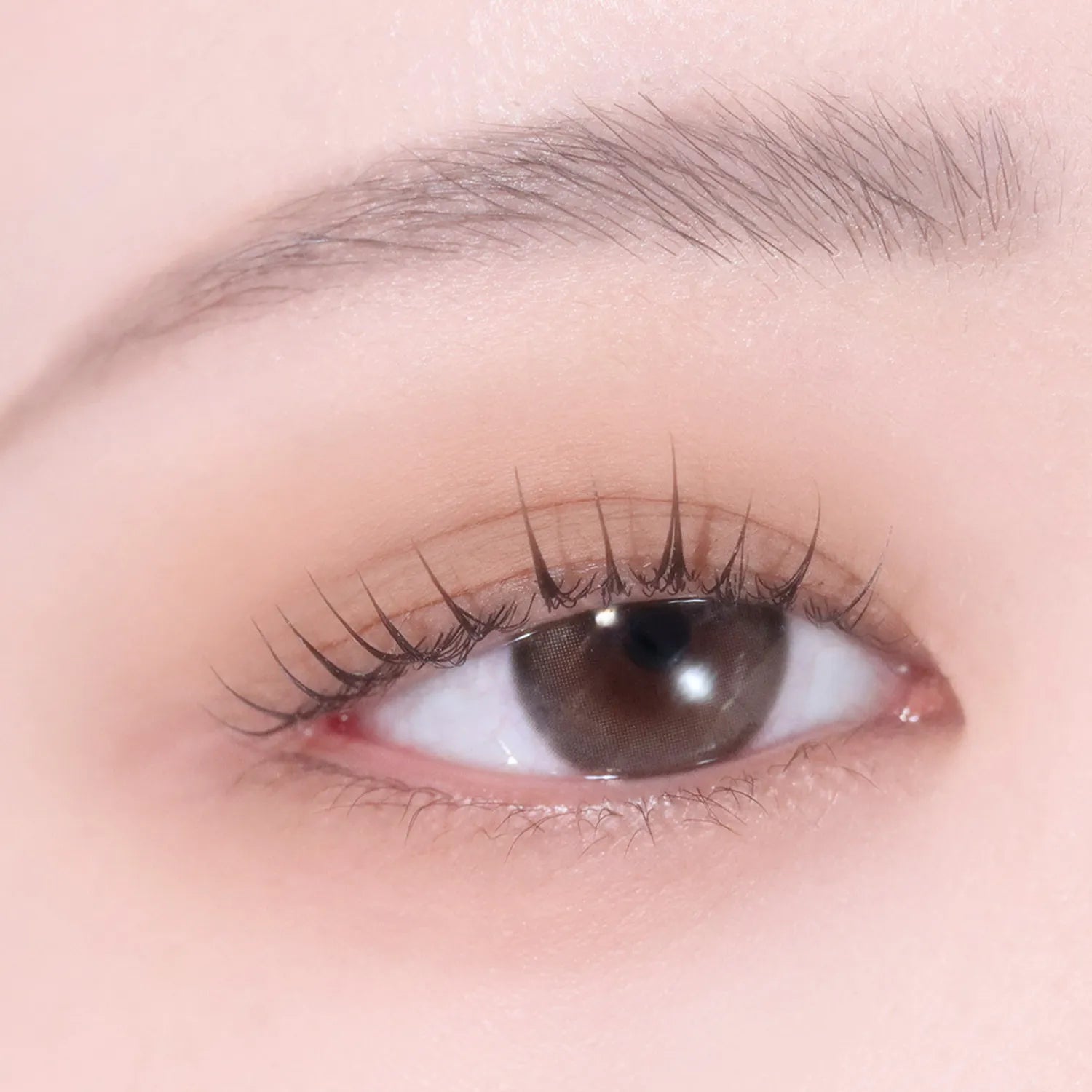 hince Single Eyeshadow (25 Colors)