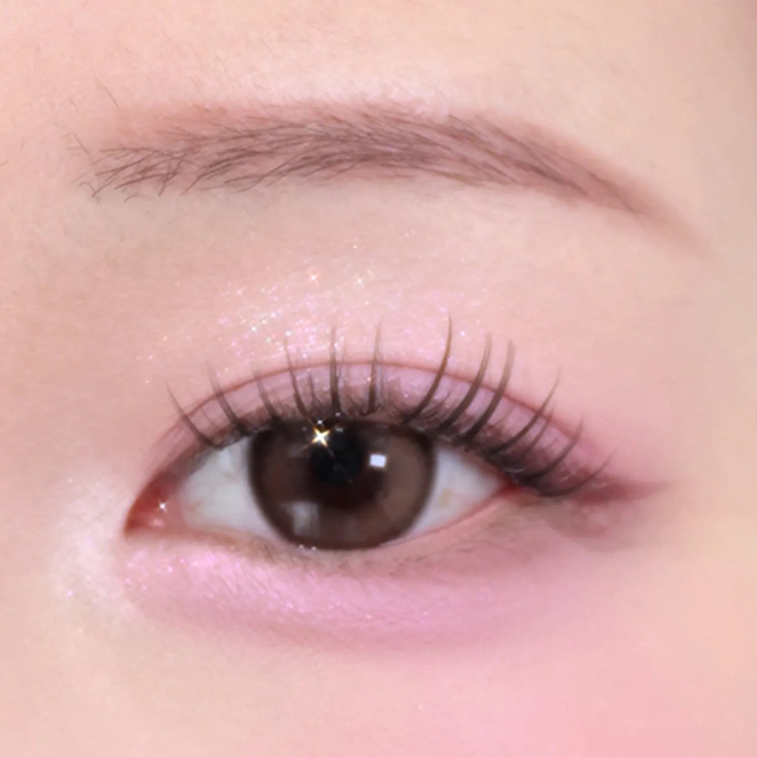 lilybyred Dewy Fit Palette (7 Options)