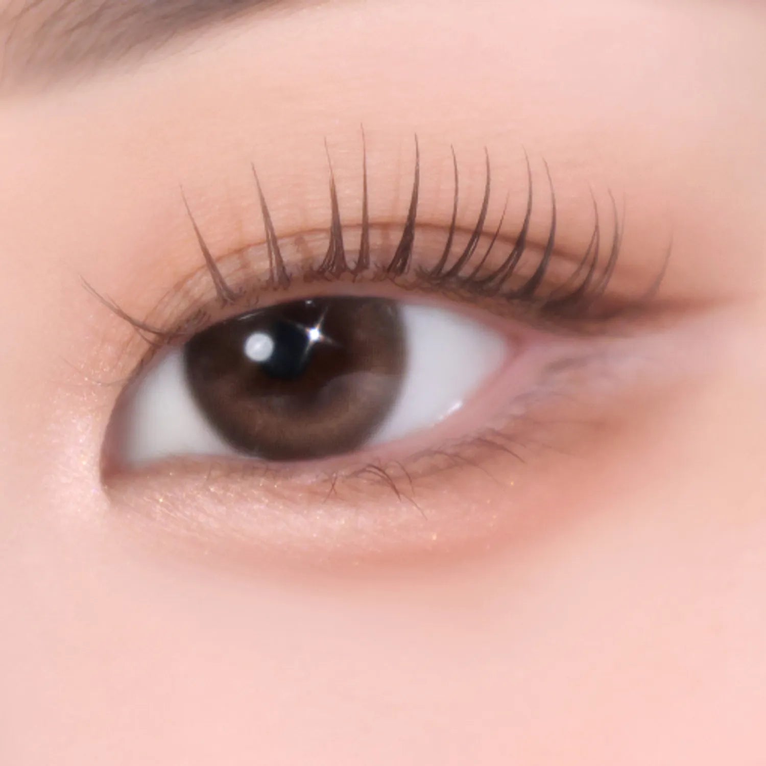 eglips Soft Eye Palette 7.3g (7 Options)