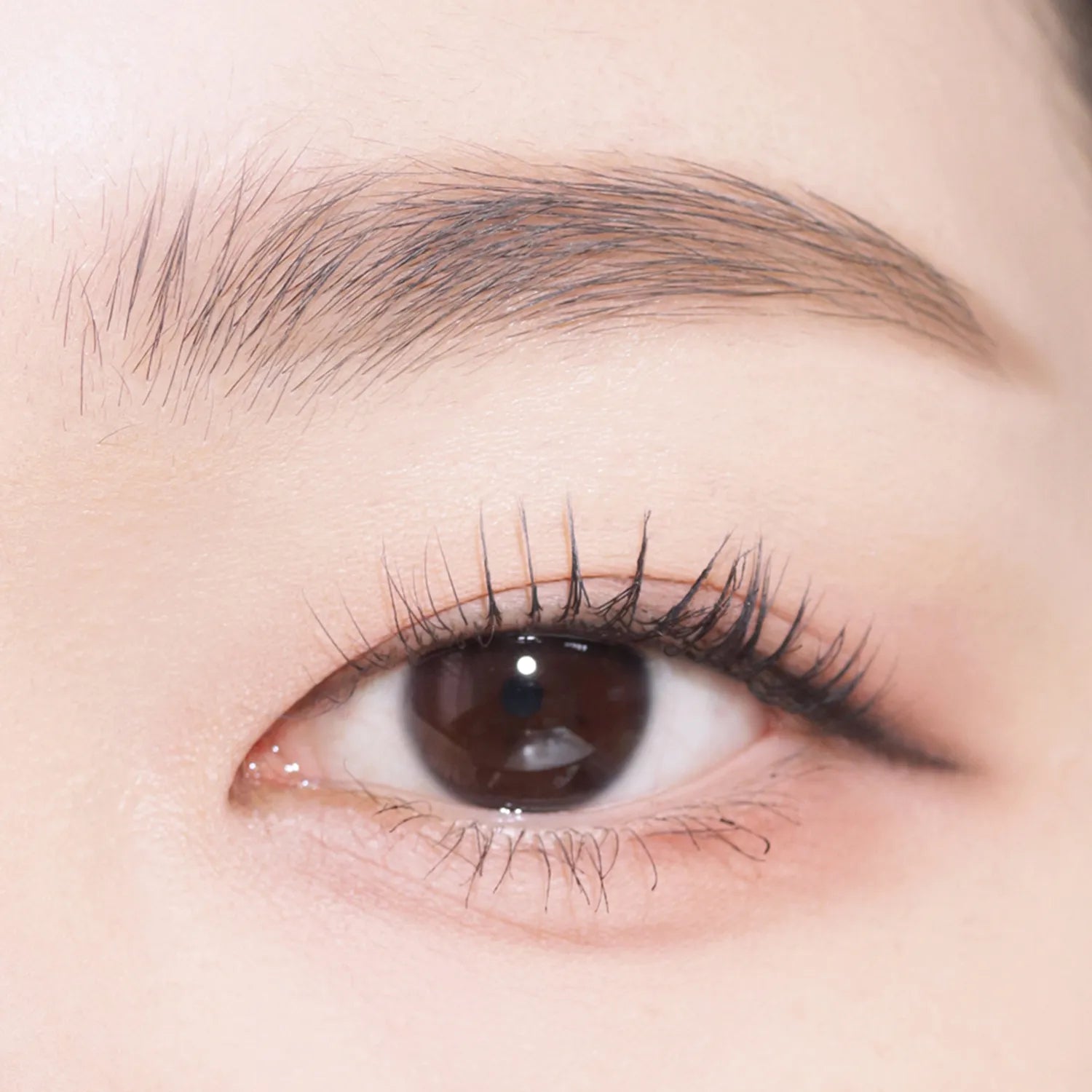 COSNORI Easy Draw Auto Eyebrow (5 Colors)