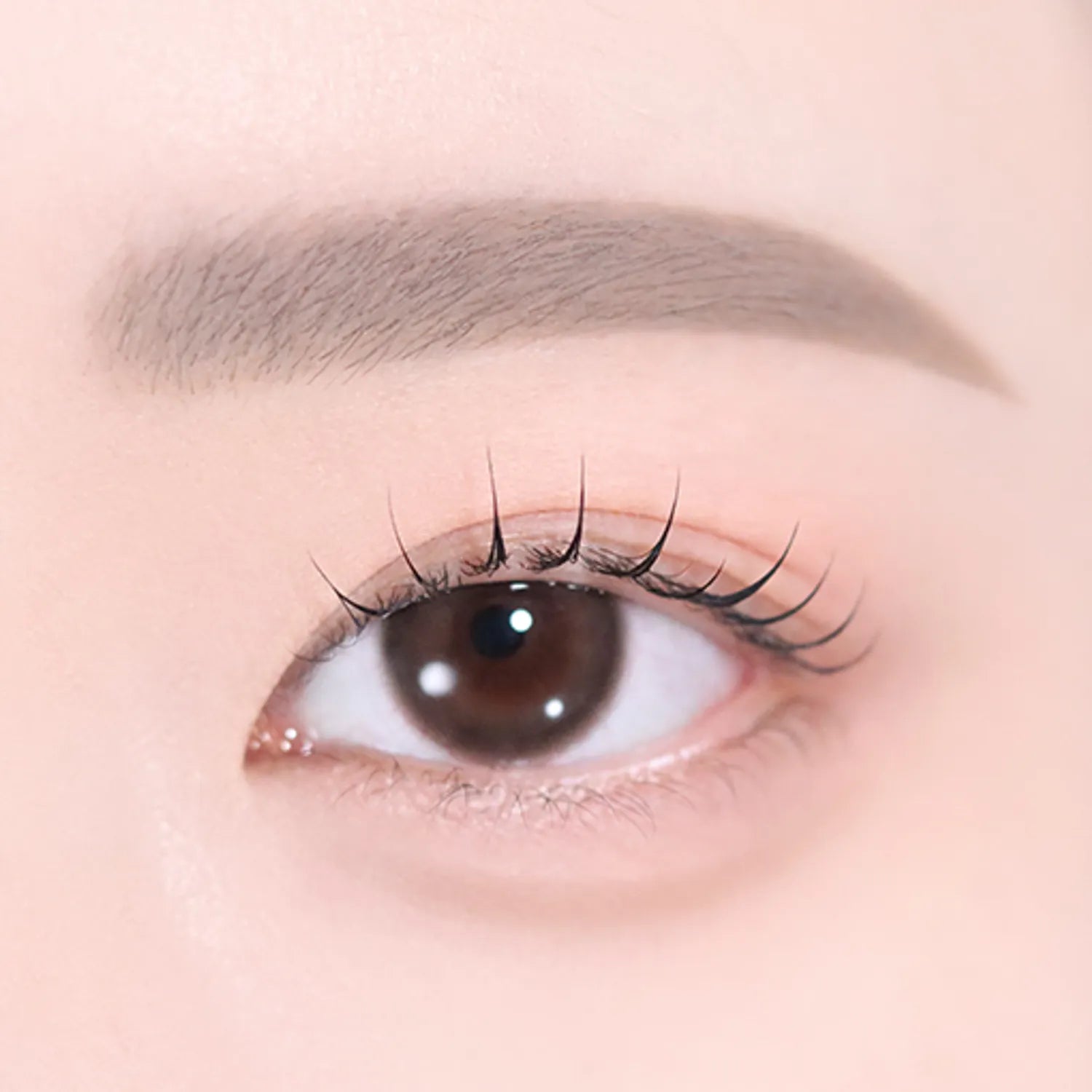 2aN Art Coloring Brow Cara (4 Colors)