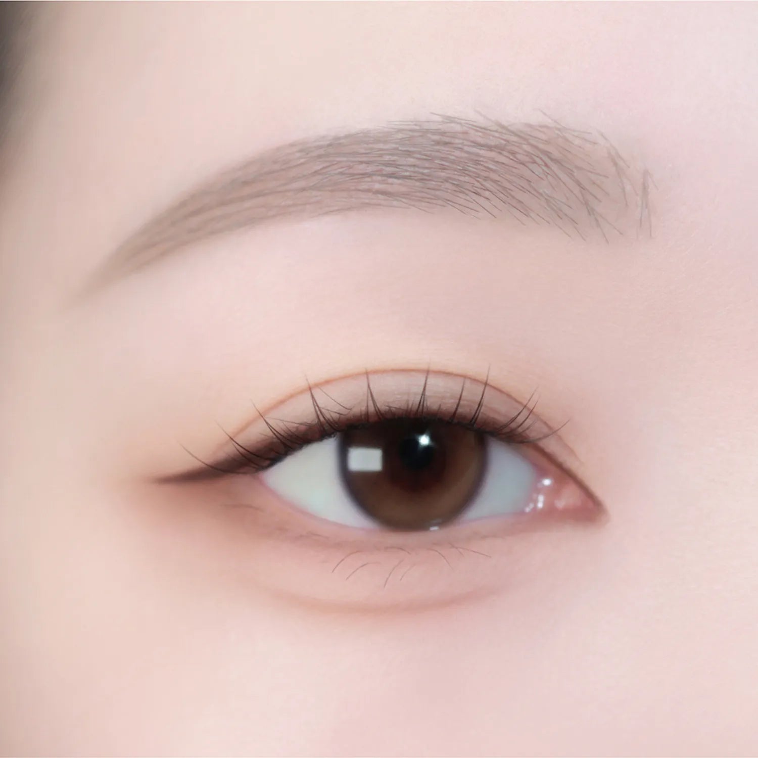 WAKEMAKE Real Fixing Slim Browcara (5 Colors)