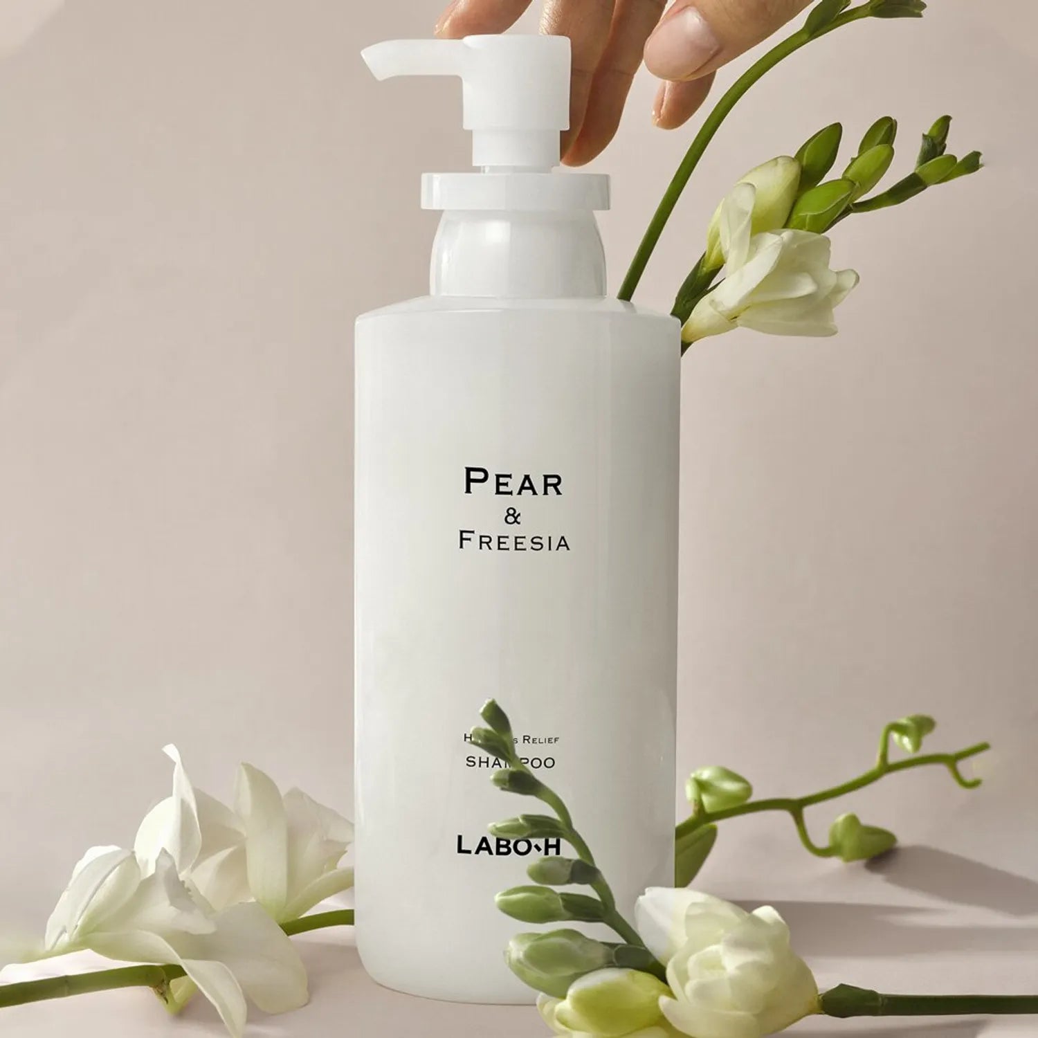 LABO-H Scalp Strengthening Care Shampoo 750mL [Pear & Freesia / Blanche & Woody] Choose 1