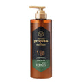 Aekyung Propolis Conditioner 500ml (Green)