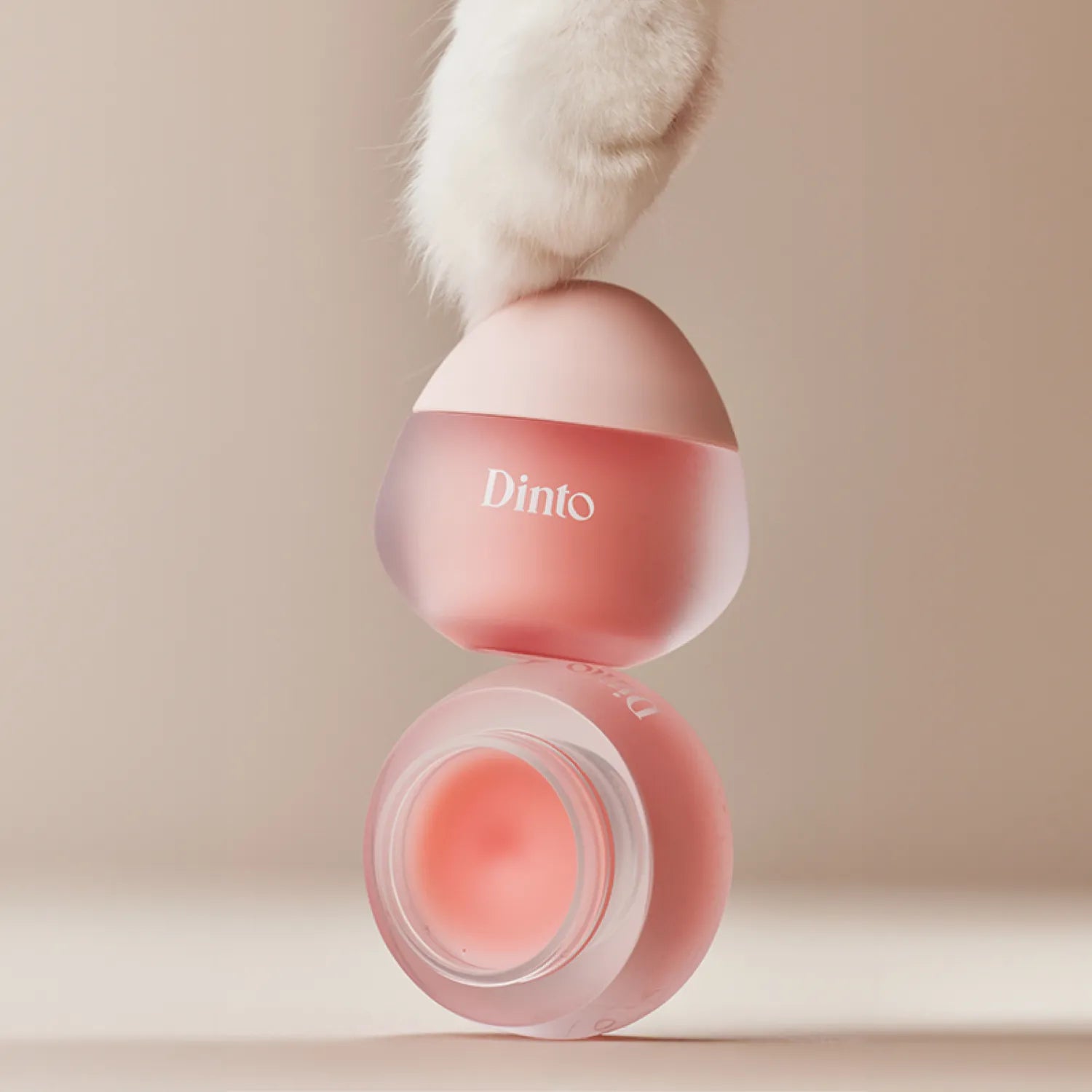 Dinto Chubby Mocchi Jelly Paw Paw Lip Mask 10g