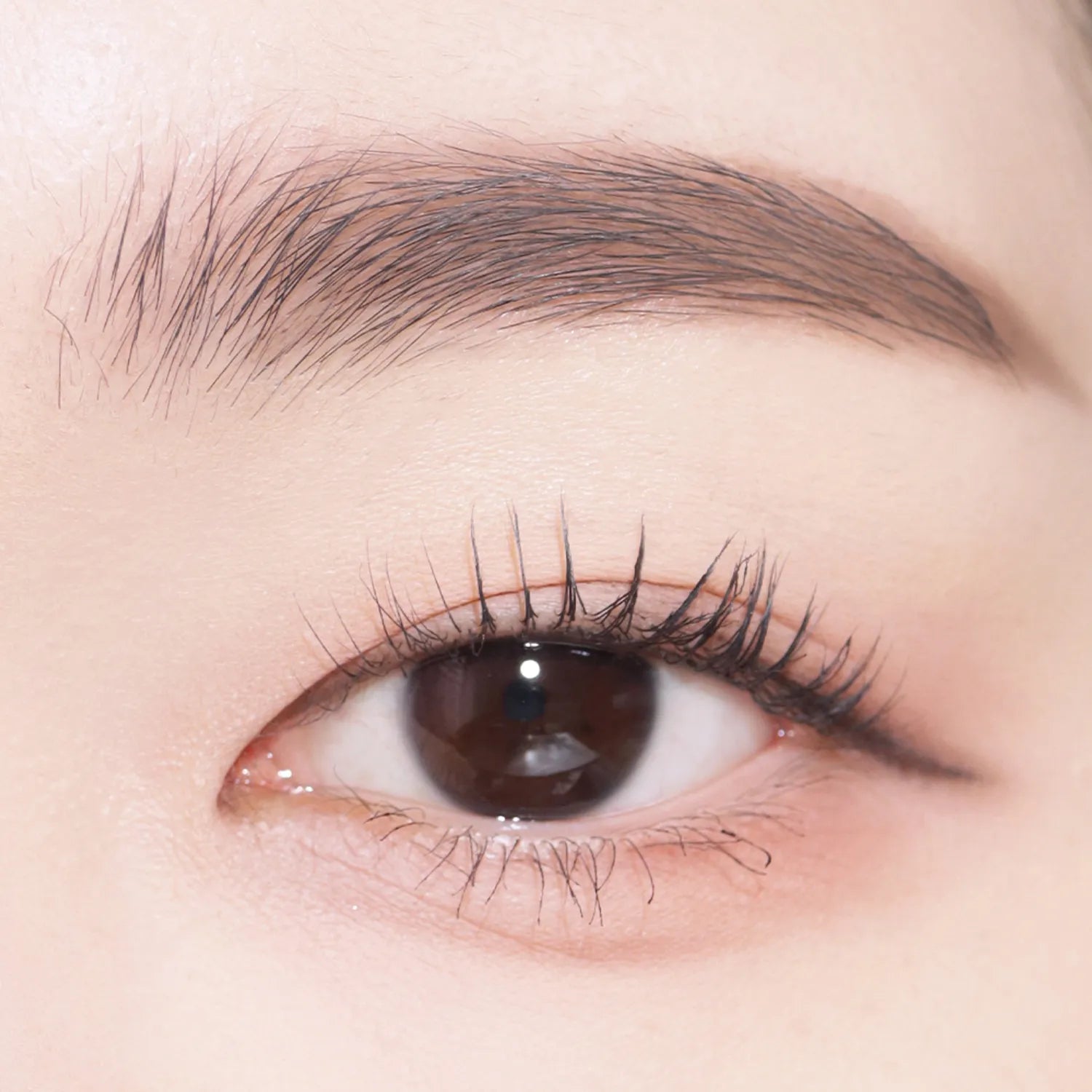 COSNORI Easy Draw Auto Eyebrow (5 Colors)