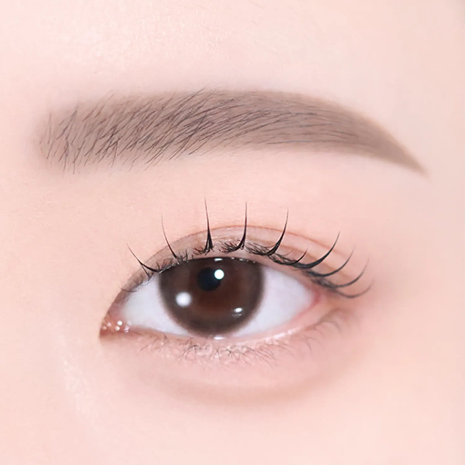 2aN Art Coloring Brow Pencil (5 Colors)