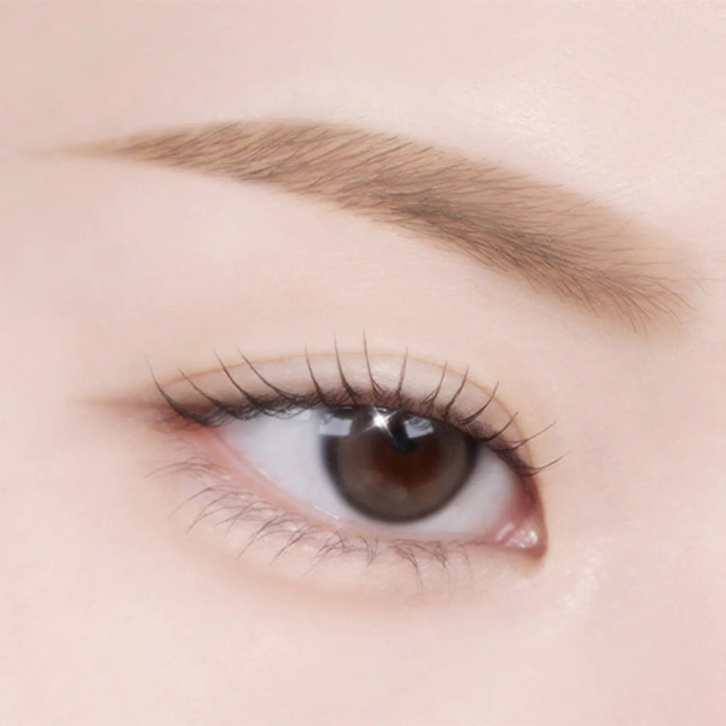 TWOSLASHFOUR Fade Brow Powder Duo (3 Colors)