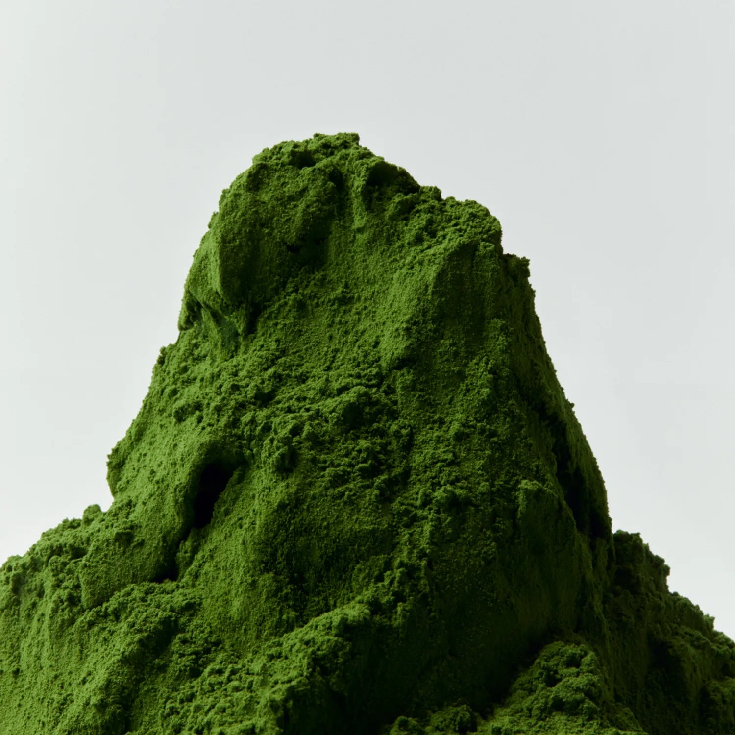 OSULLOC Premium Matcha 40g