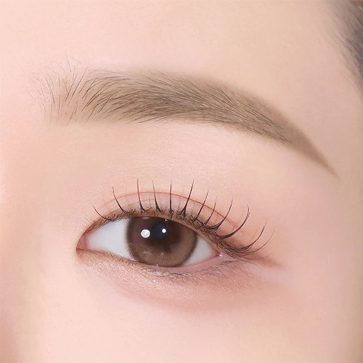 CLIO Kill Brow Auto Hard Brow Pencil (Set/Single) (9 Colors)