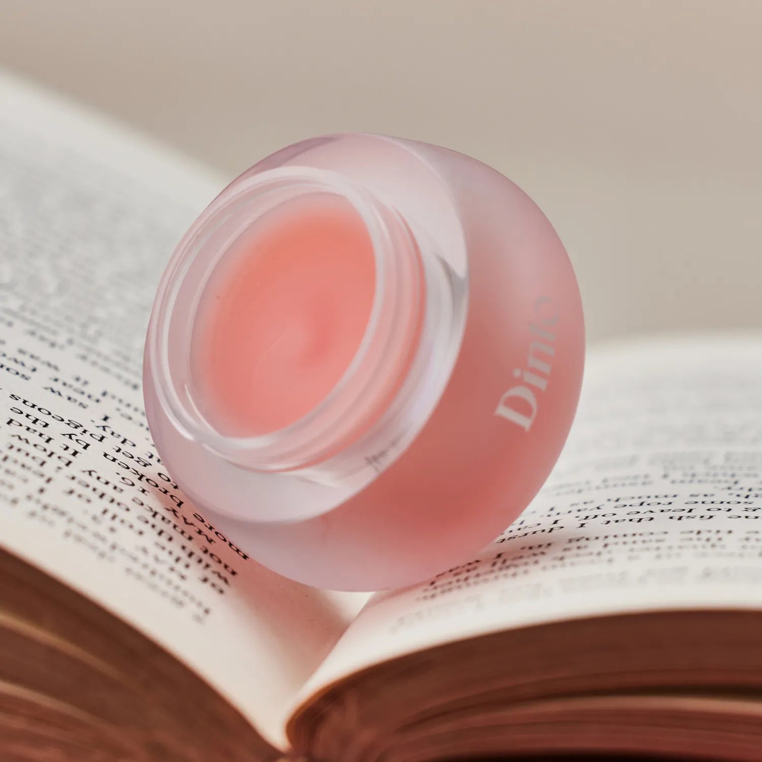 Dinto Chubby Mocchi Jelly Paw Paw Lip Mask 10g
