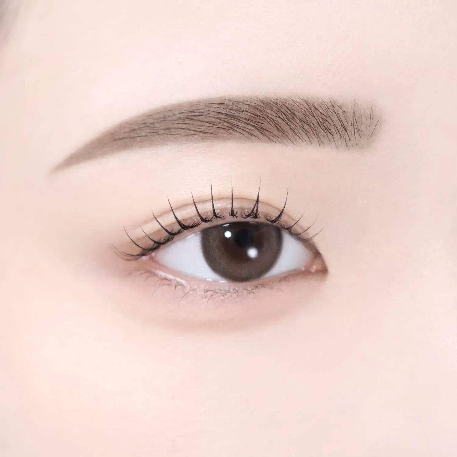 dasique Pro Detail Brow Pencil (6 Colors)