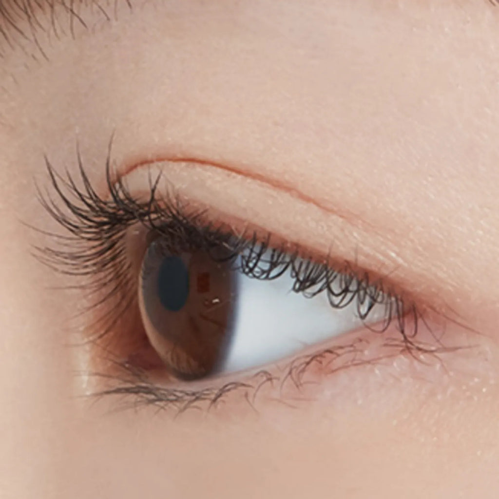 [NEW] ETUDE Dr. Mascara Fixer (3 Colors)