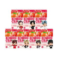 Damtuh Kombucha BT Grapefruit 10T TinyTAN Special Edition