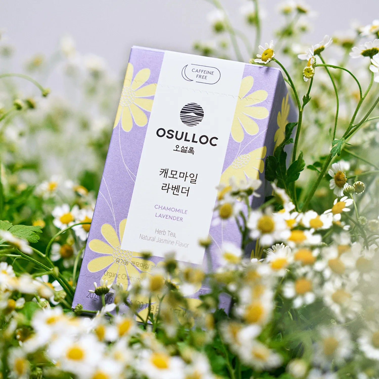 OSULLOC Chamomile Lavender 20ea