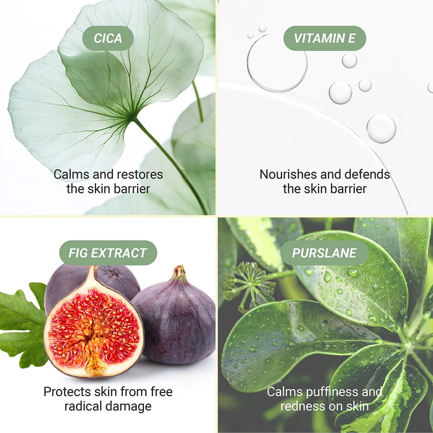 Meebak Cica Toner 120ml
