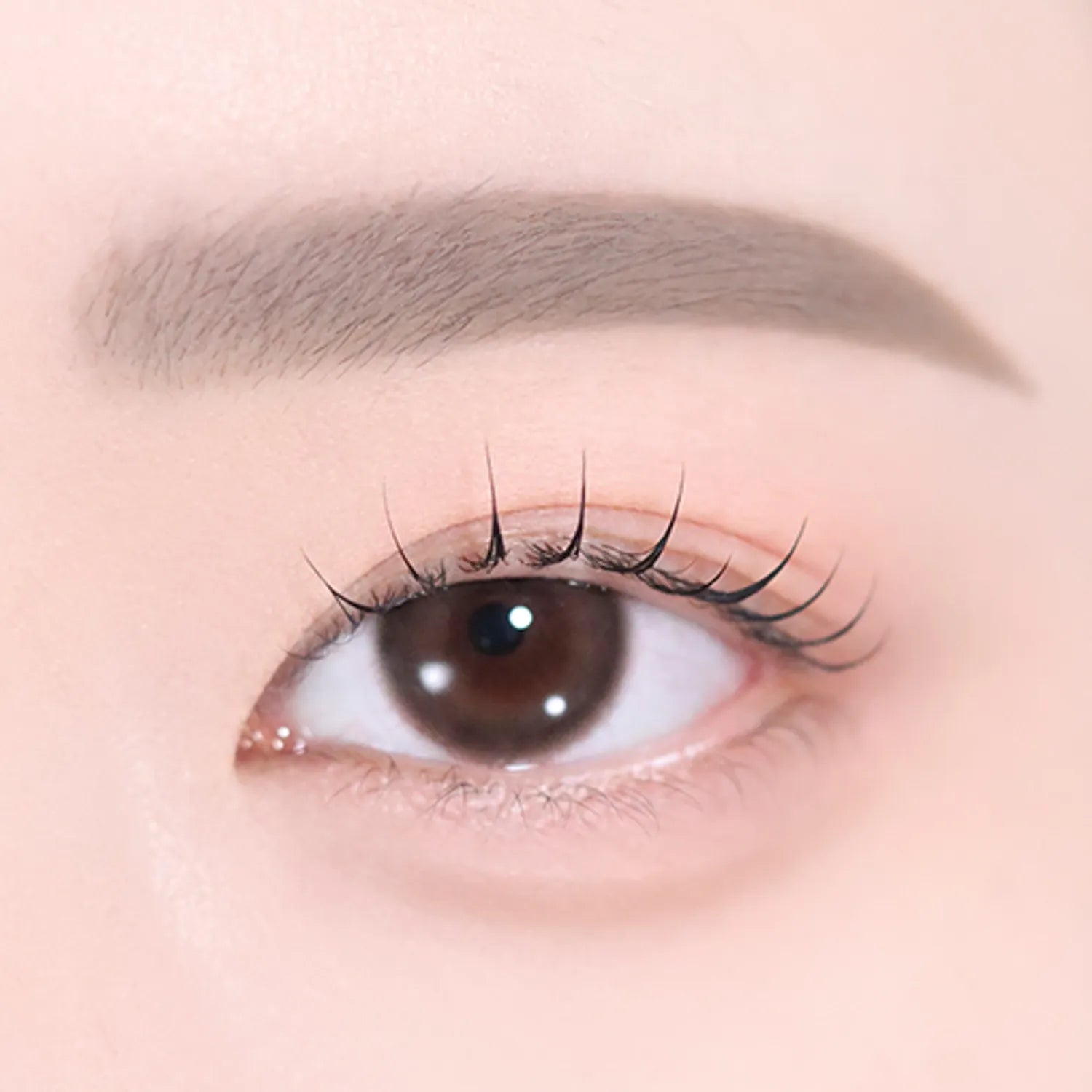 2aN Art Coloring Brow Cara (4 Colors)