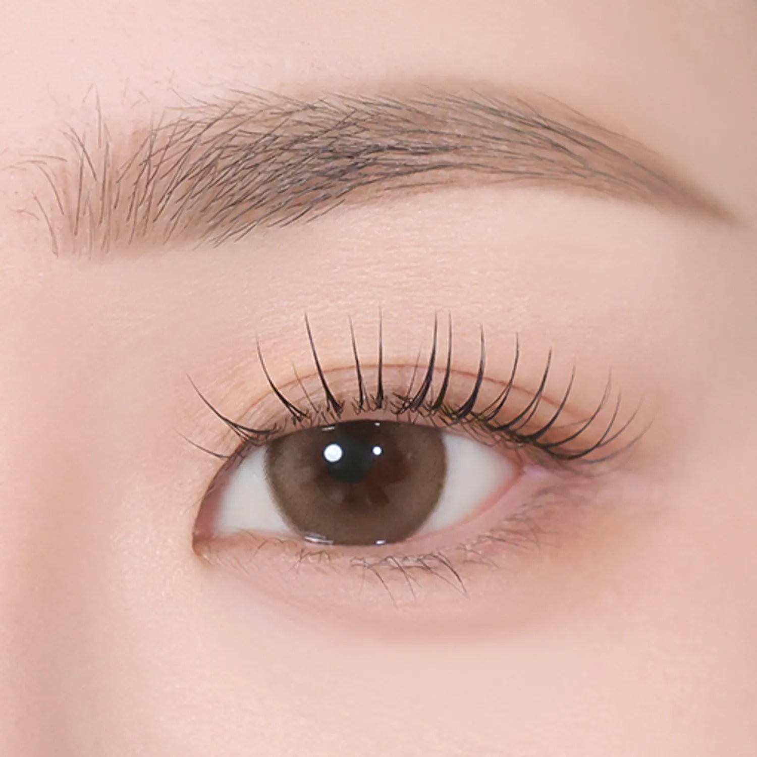 eglips All Shade Dual Brow & Fixer (6 Options)