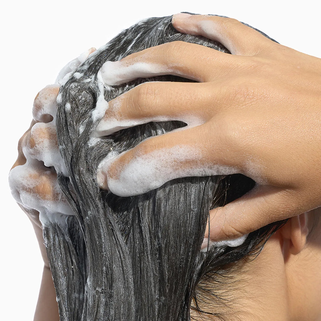 KLORANE Galangal Anti Dandruff Shampoo 400ml Set