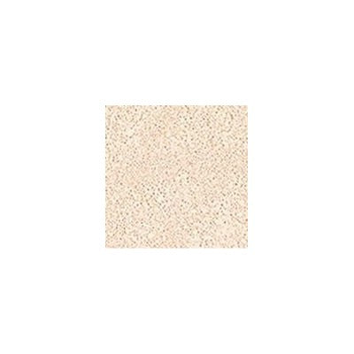 JUNG SAEM MOOL  Essential Skin Nuder Cushion (refill included) Set